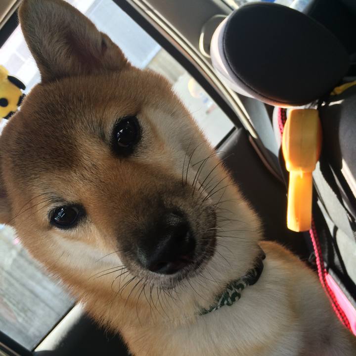 Ec81a663 cba4 45e6 b3ee 3e31dfa9322c