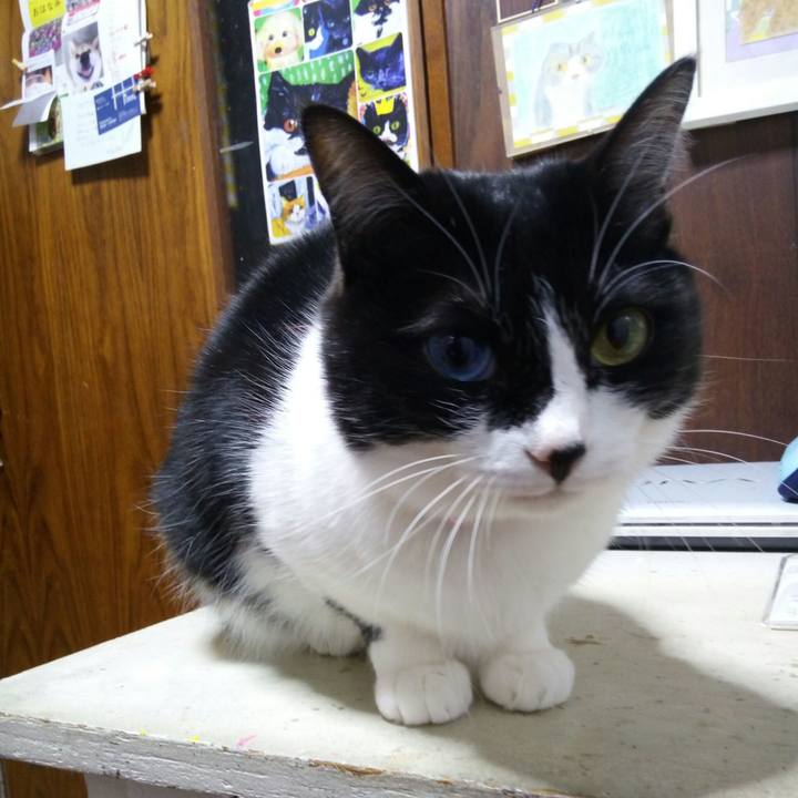 Ec81bb7d 0ce9 4b4c 8d5f 0bfa2c253763