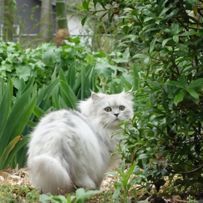 Ec821df0 9eda 45bc 8930 28850e921345