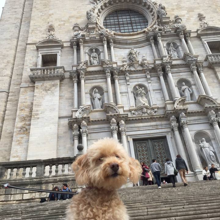 Ec827613 1d04 45eb 971e 9d69f1420e6e