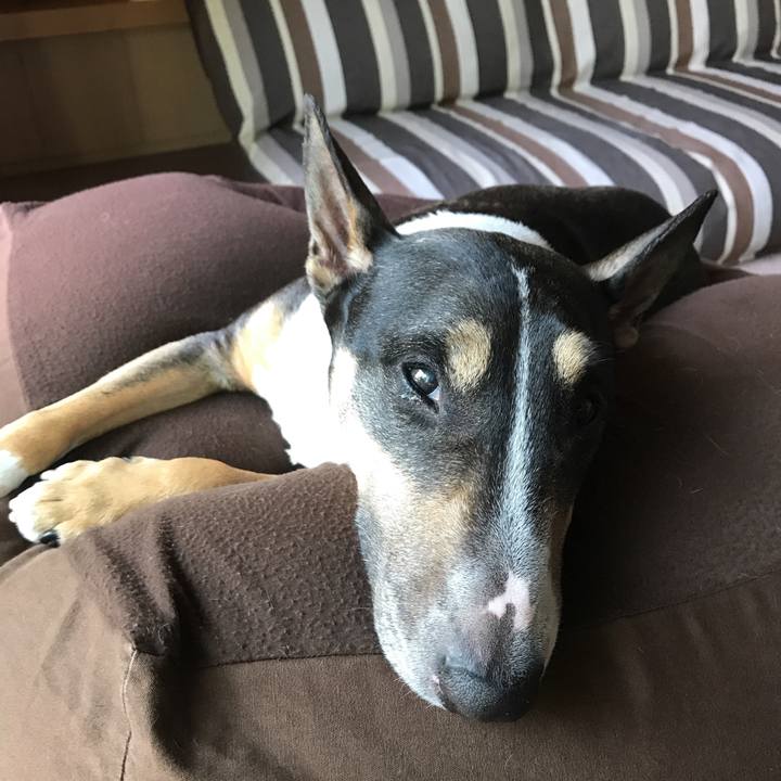 Ec82b8d8 9697 4ebb 8c5e 7ae5fb2b02d2