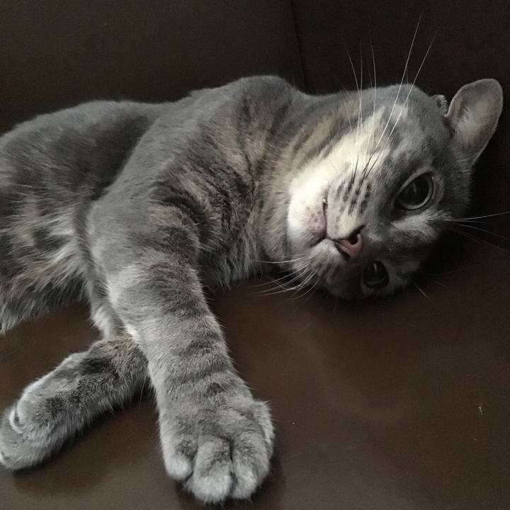 Ec82bf6e 6338 48c0 87f3 e03904f904f3