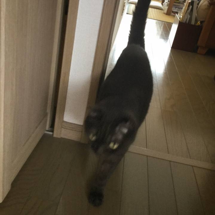 Ec82d4c3 f68b 4e79 94e7 5448110f1aa9