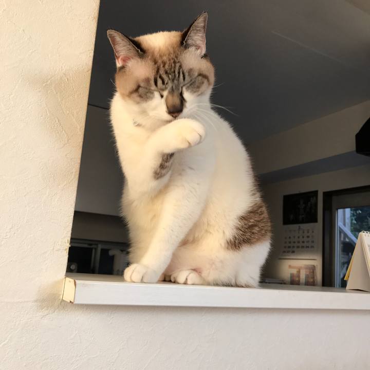 Ec837475 6ee2 453b a31c 990109ff3d14