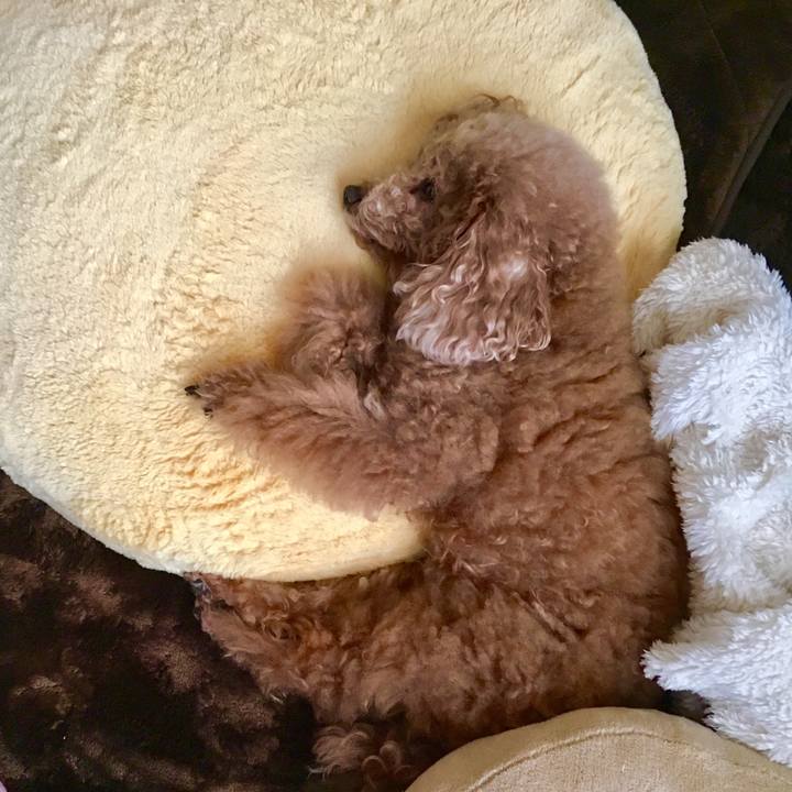 Ec83db09 9720 46bb 8236 e60081f02e9d