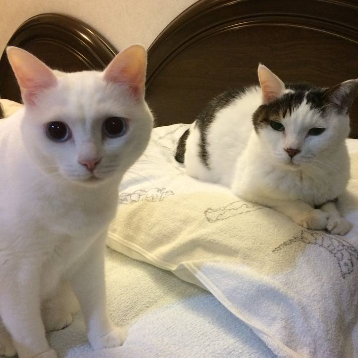 Ec8435dc 7e0b 4f80 a04b d7b37f1346a3