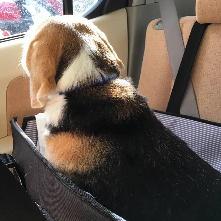 Ec845e30 b9c3 4e57 8fee 9cba692d6083