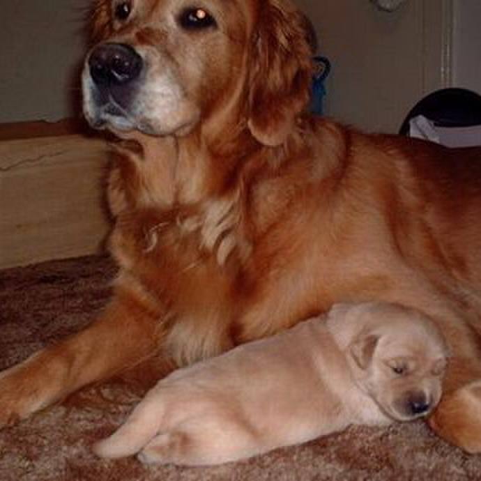 Ec8482d0 f2b9 4768 b7a0 ce81e447288d