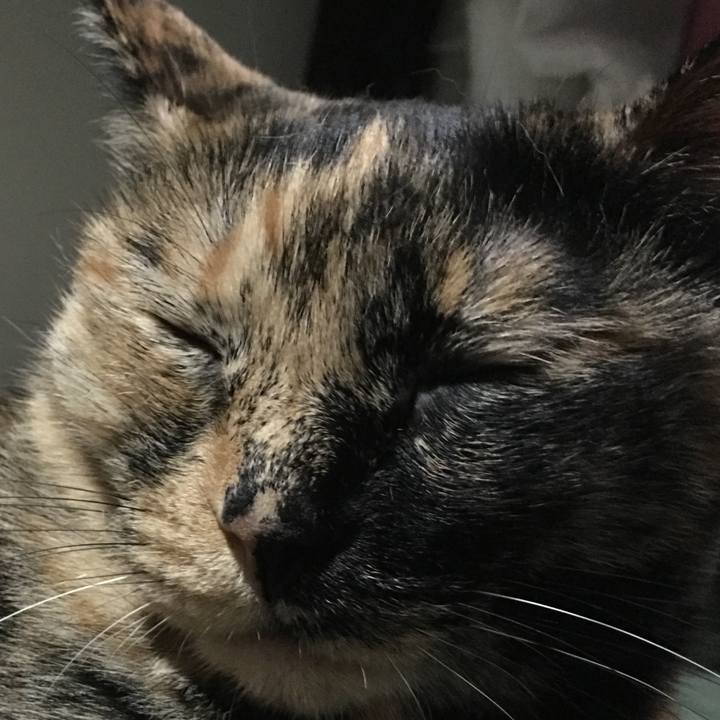 Ec849395 6630 44d7 b670 8442de88eeaa