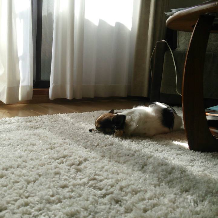 Ec852ef0 fc28 4ba8 abd3 0d7084599563