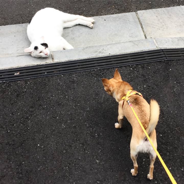 Ec860b96 36da 4736 916f b663aba0f6a9