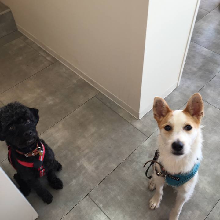 Ec861ab1 1213 4954 a4cb 546d7aefe094