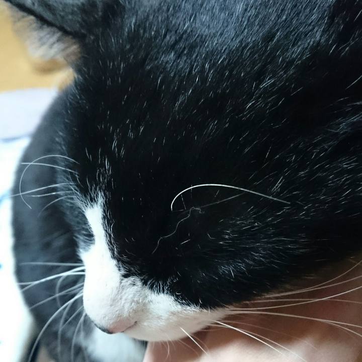 Ec87790a 7f26 4191 98e6 e5492d8f9797