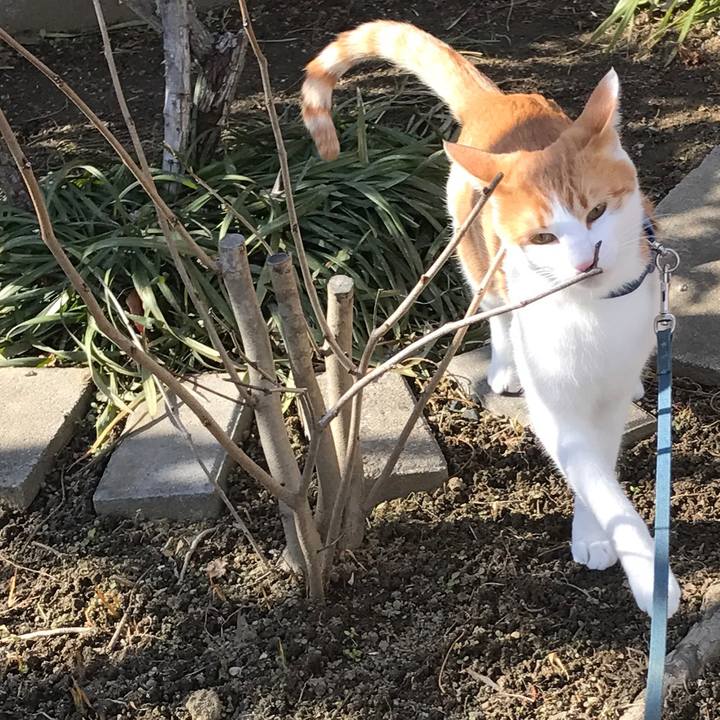 Ec87fffc cc7b 43b7 9992 c9ad8a634ab8