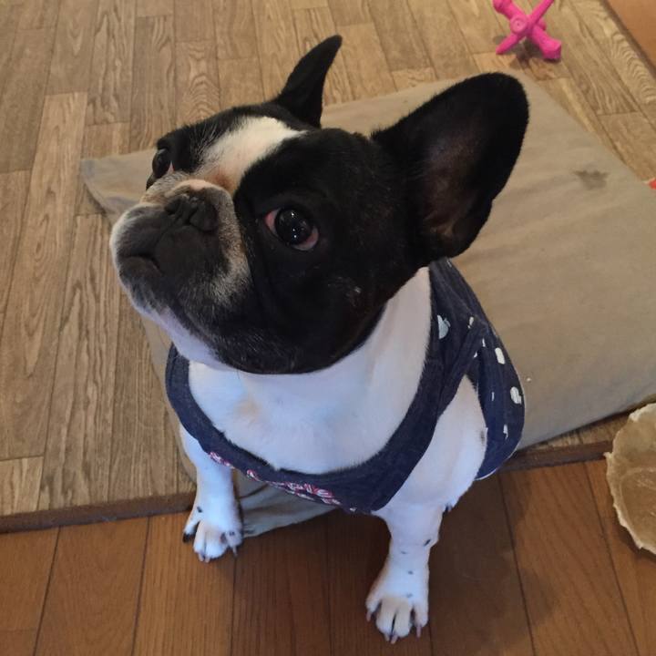 Ec8884d0 2d55 4d49 b476 d9825204de5e