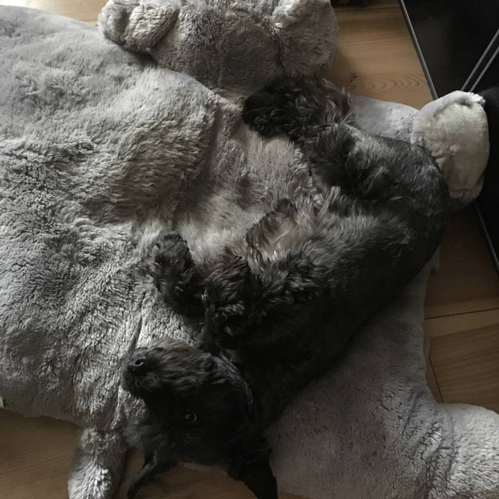 Ec8885d5 fa69 46e3 a382 100c78ccff05