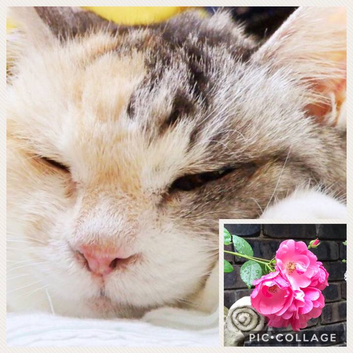 Ec888e62 14cc 4c38 bafe 17ee4a7583b8