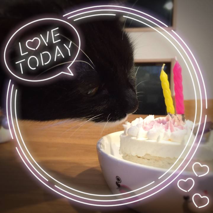 Ec89b08e 8994 4003 bb68 f7f159bbc54b