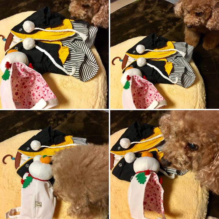 Ec89c359 ceba 446c 8474 9162a0b61b27