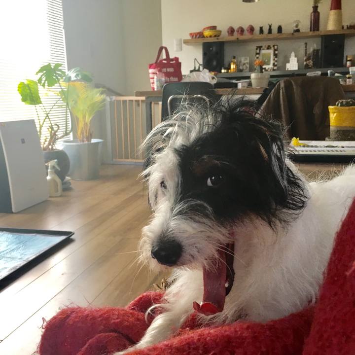 Ec89d677 3bfb 431b 9be9 f03b94217446