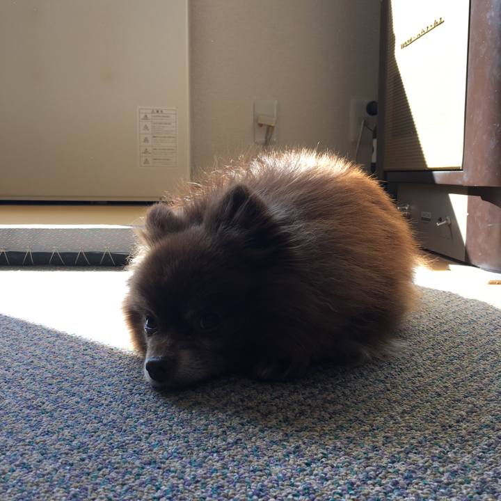 Ec8a3e05 e3e6 496c 8797 9ab4cb8d15e9