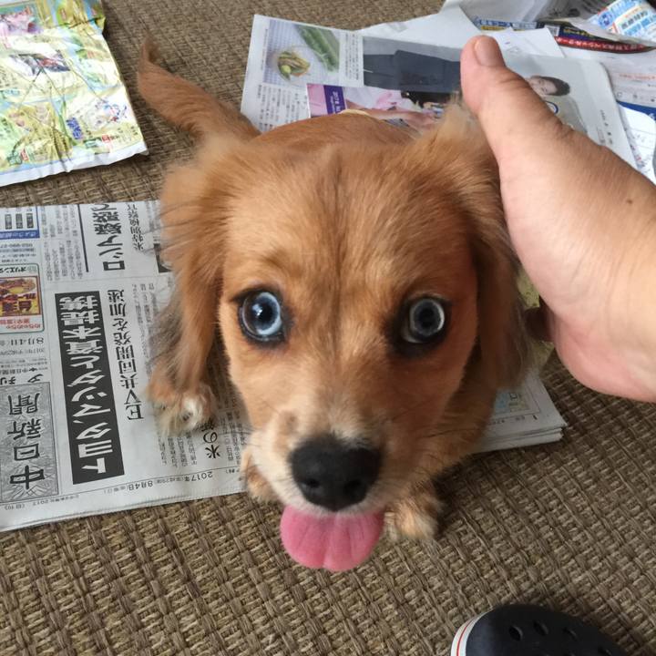 Ec8abc01 5732 4706 bff5 261d769e4b1b