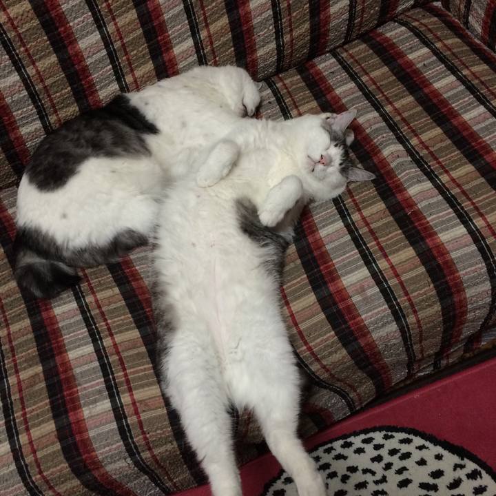 Ec8b4ad7 7eda 4671 ad1b 40bb21a67b03