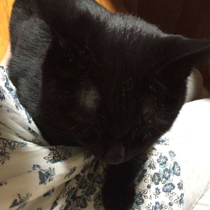 Ec8bf6a3 6a26 4ba1 9cdc d1b1aa794015