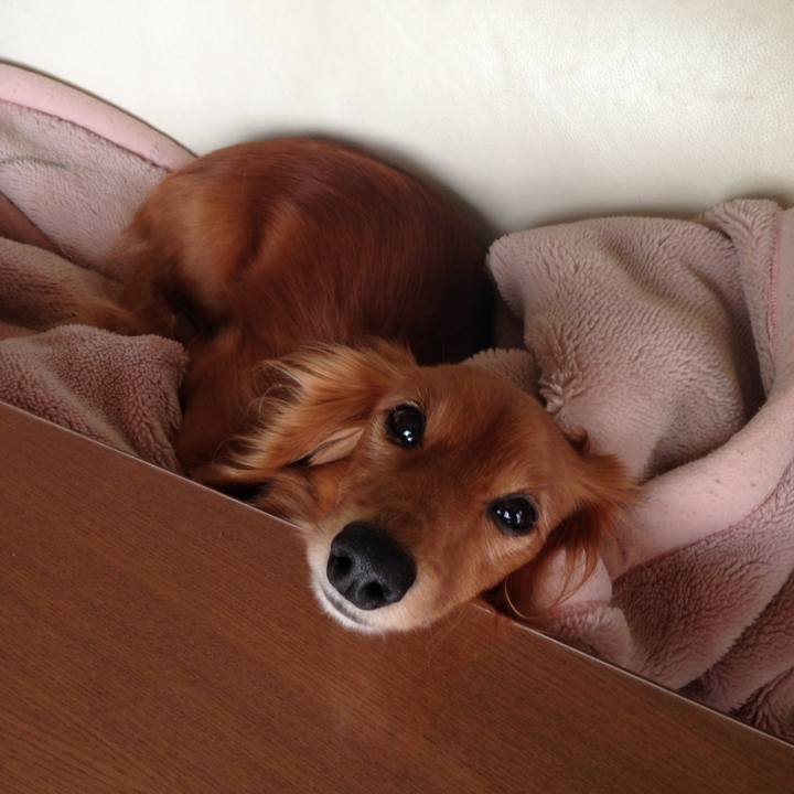 Ec8ceab5 d243 4fa9 8544 79915f3da5c8