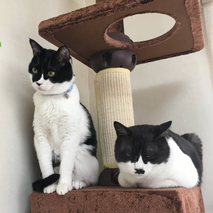 Ec8d33a4 9d3b 49fe ba51 c275c020981e