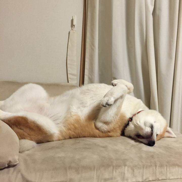 Ec8d3b2f f380 42b4 926c 9177121aa696