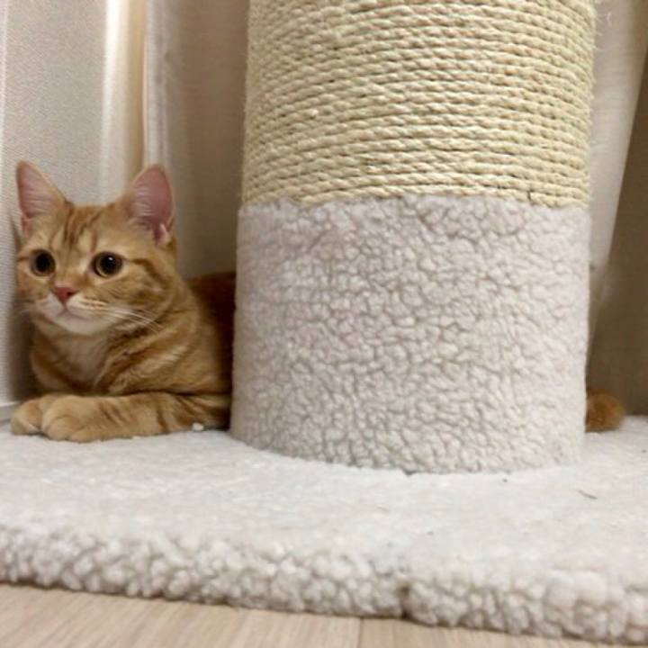 Ec8d6024 6b45 4b1f ad3b 8fc4759e3db5