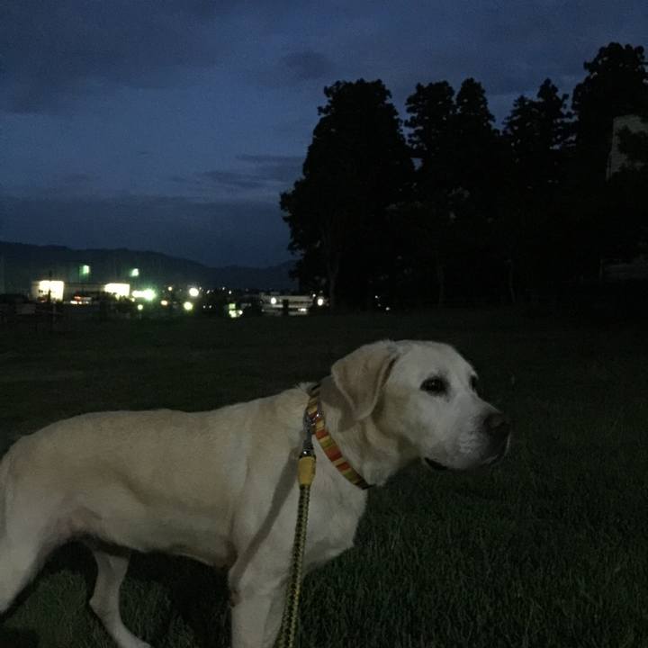 Ec8db31c 491e 4d64 9b28 8cc6de2a140c