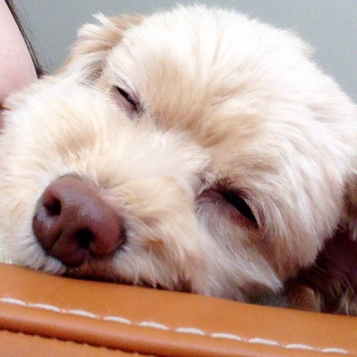 Ec8dc5fc 82a6 4589 996c 9f0243a69629