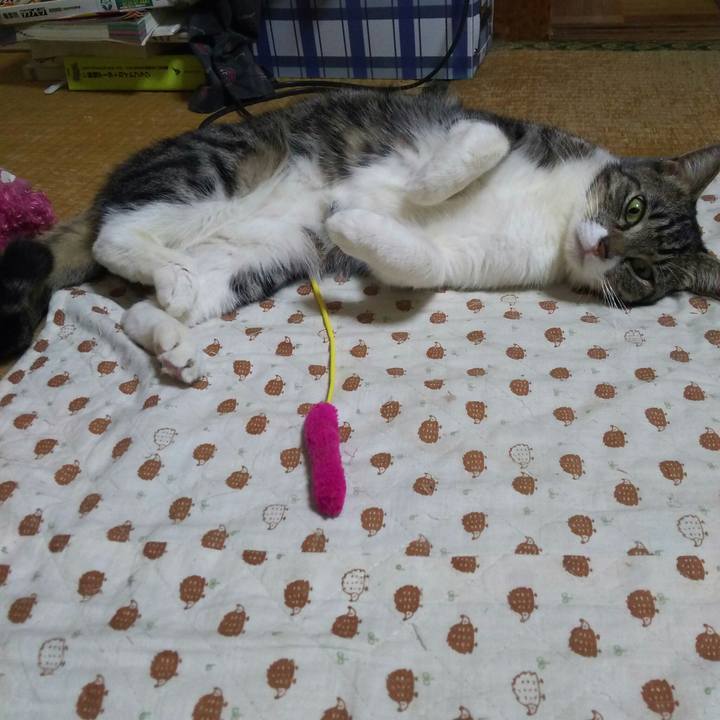 Ec8dd1c6 c5ef 40fa b72c 9ba3b893e836