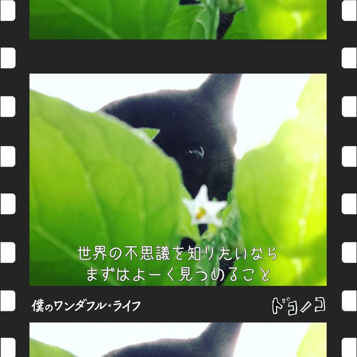 Ec8df993 f369 4b2a a9e7 b98c382a87be