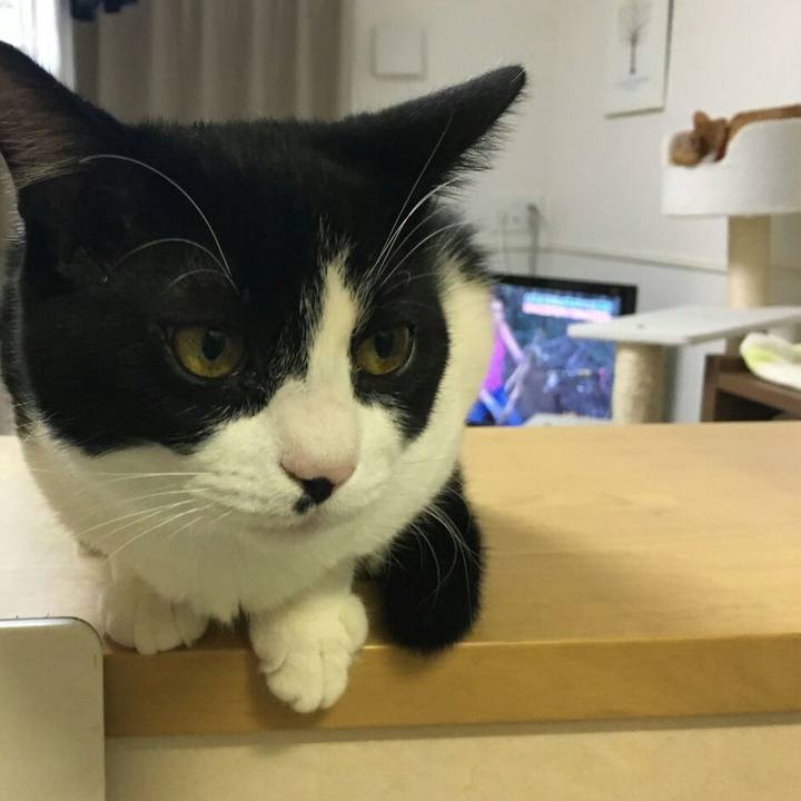 Ec8e2b91 ca7b 4f57 9b9a 9bb750e58293