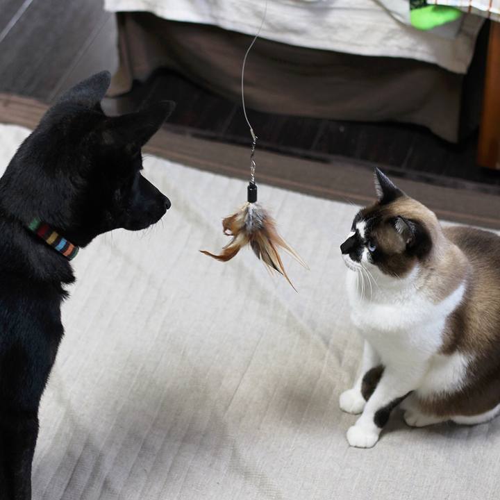 Ec8e4434 1cdc 4d5b 9556 7ac67779f038