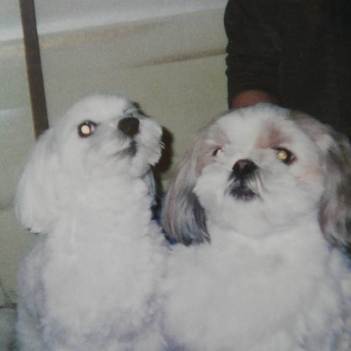 Ec8ed4b2 ea55 4117 9a94 b86fd095b20d