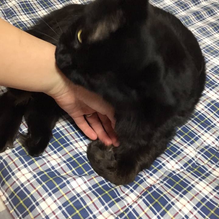 Ec8f154a 33e7 42c7 bcb1 1664a9a5a5e7