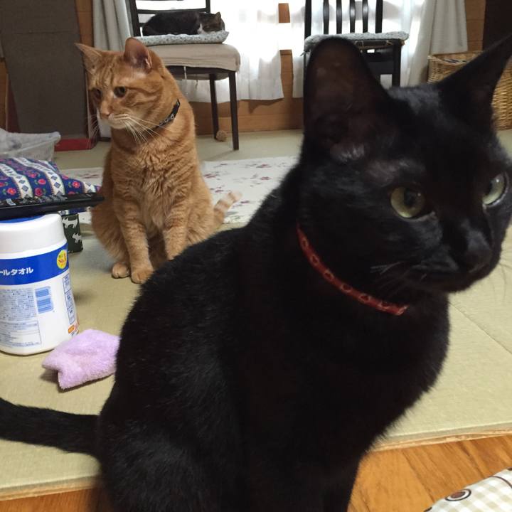 Ec8fc419 0304 407e 9b39 def5a0156704