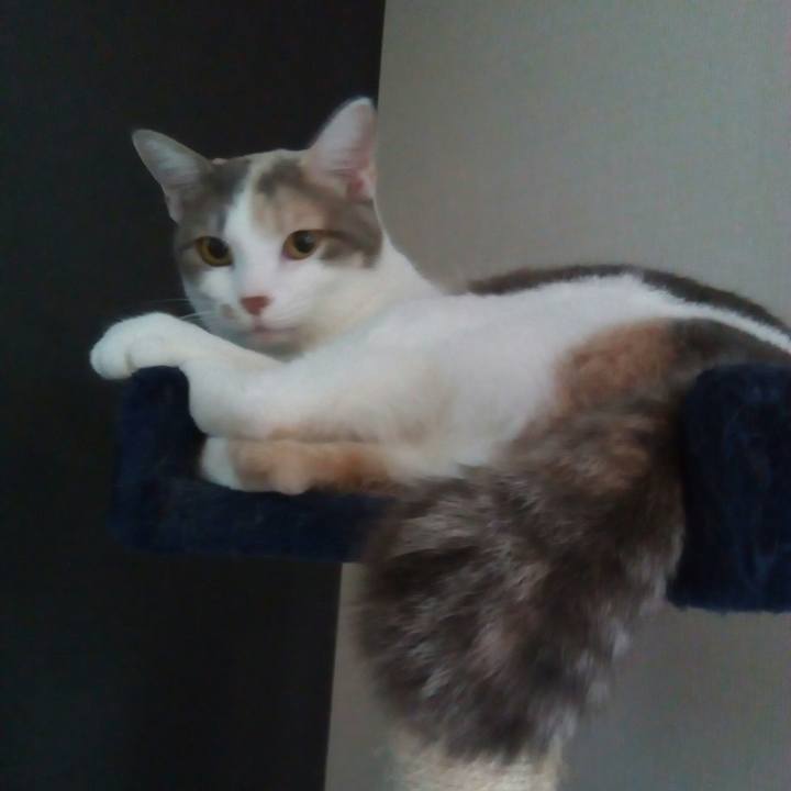 Ec90132c e8f9 47f5 8fbe 9be0c97490a4