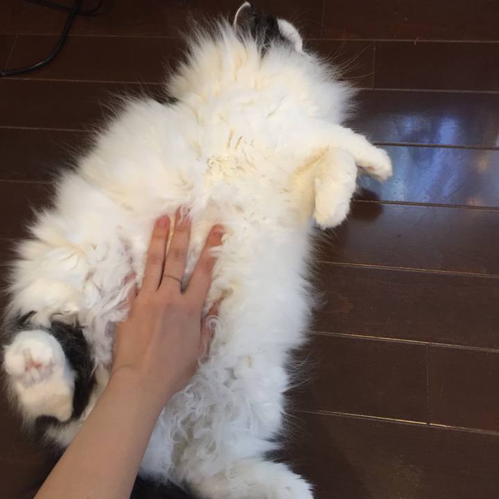 Ec9032d7 f0c1 49e3 955f 23cd40a8f460