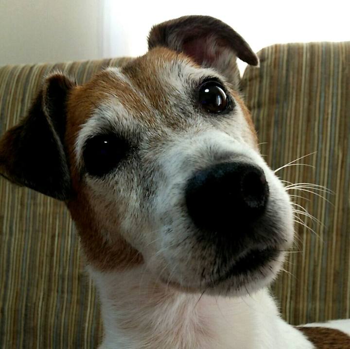 Ec910c95 4fad 433b 85d2 5d93783723ca