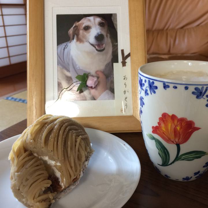 Ec911d73 d42f 47f4 8f29 8e900e9194b6