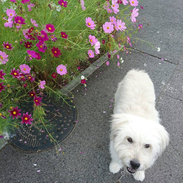 Ec91277d aa45 4cc9 859b 952114c62891