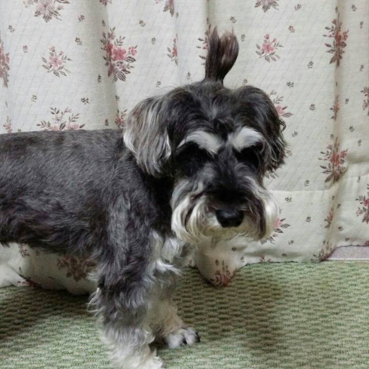 Ec929b44 18c7 4d51 96e6 d368e9049d53