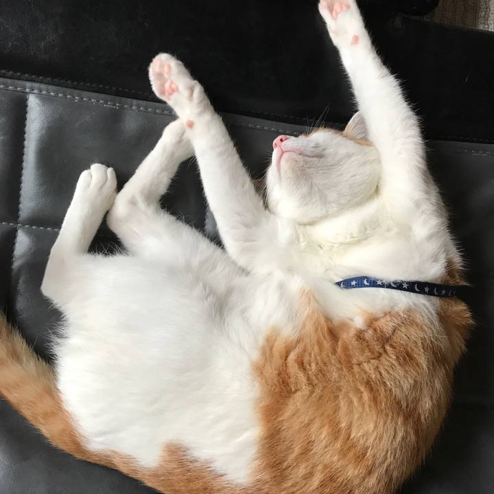 Ec92dce0 fe90 43bc 89bb d136dcad8c18