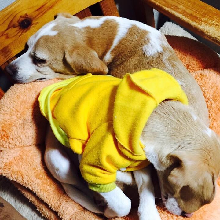 Ec92e303 23b3 4607 810f 13496652a899