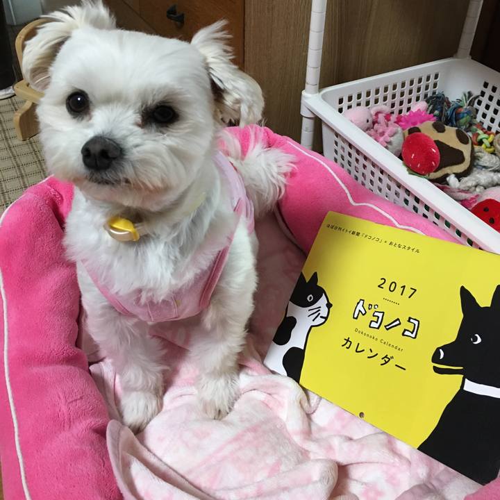 Ec92e844 93a0 48a3 9771 a8558489db67